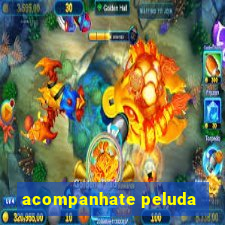 acompanhate peluda